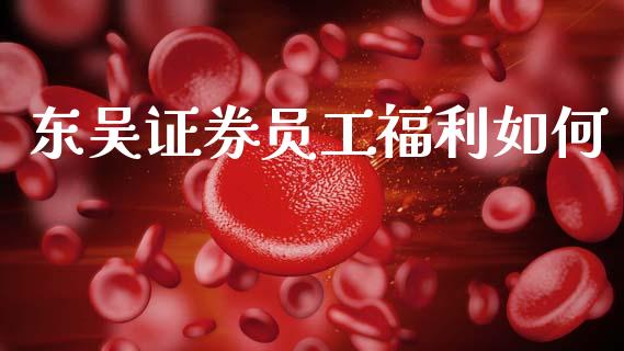 东吴证券员工福利如何_https://wap.sdyuehang.cn_债券资讯_第1张
