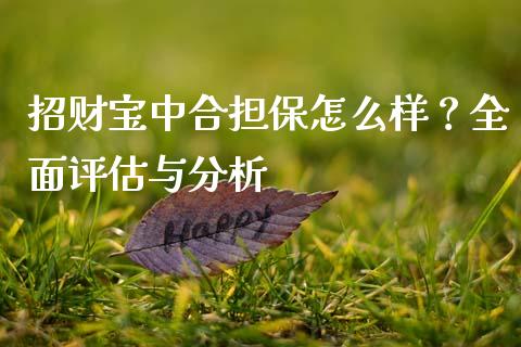 招财宝中合担保怎么样？全面评估与分析_https://wap.sdyuehang.cn_产经新闻_第1张