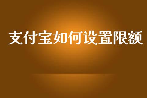 支付宝如何设置限额_https://wap.sdyuehang.cn_美股行情_第1张