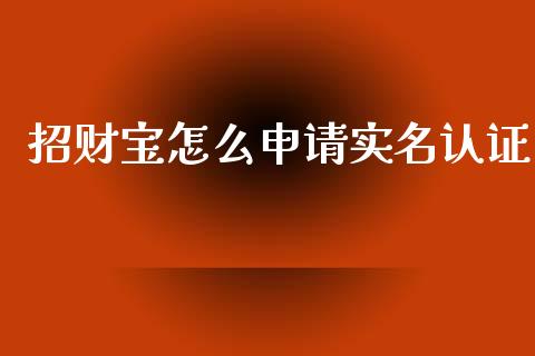 招财宝怎么申请实名认证_https://wap.sdyuehang.cn_新股申购_第1张