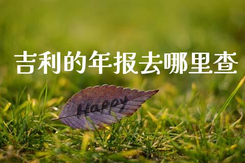 吉利的年报去哪里查_https://wap.sdyuehang.cn_债券资讯_第1张