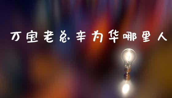 万宝老总辛为华哪里人_https://wap.sdyuehang.cn_新股申购_第1张