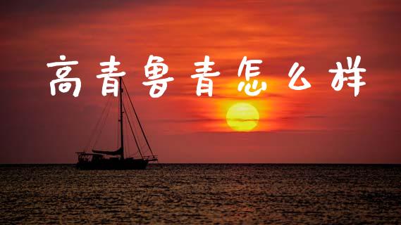 高青鲁青怎么样_https://wap.sdyuehang.cn_债券资讯_第1张