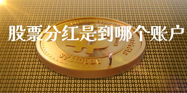 股票分红是到哪个账户_https://wap.sdyuehang.cn_新股申购_第1张