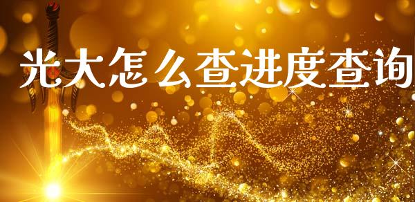 光大怎么查进度查询_https://wap.sdyuehang.cn_债券资讯_第1张