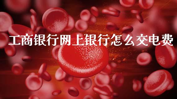 工商银行网上银行怎么交电费_https://wap.sdyuehang.cn_债券资讯_第1张