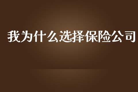 我为什么选择保险公司_https://wap.sdyuehang.cn_产经新闻_第1张