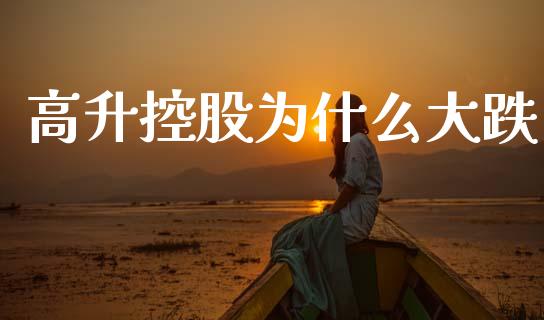 高升控股为什么大跌_https://wap.sdyuehang.cn_产经新闻_第1张