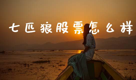 七匹狼股票怎么样_https://wap.sdyuehang.cn_美股行情_第1张
