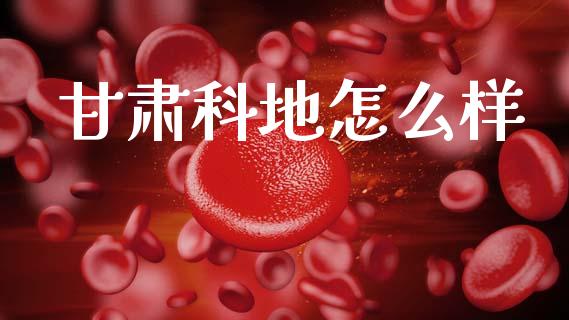 甘肃科地怎么样_https://wap.sdyuehang.cn_产经新闻_第1张