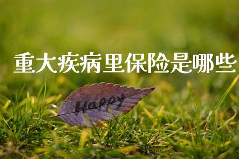 重大疾病里保险是哪些_https://wap.sdyuehang.cn_债券资讯_第1张