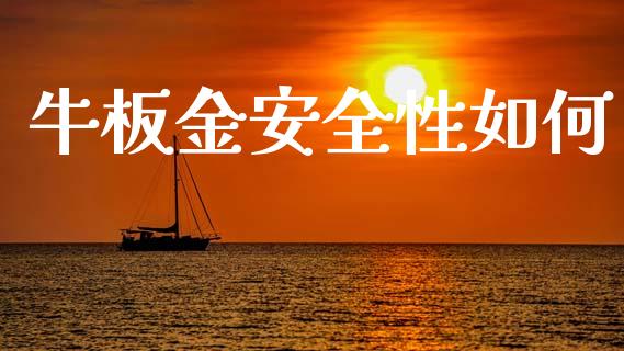 牛板金安全性如何_https://wap.sdyuehang.cn_债券资讯_第1张