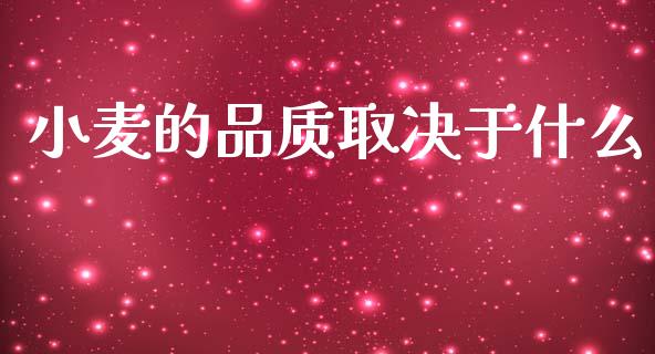 小麦的品质取决于什么_产经新闻_第1张_产经新闻_债券资讯_新股申购_美股行情 小麦的品质取决于什么_https://wap.sdyuehang.cn_产经新闻_第1张