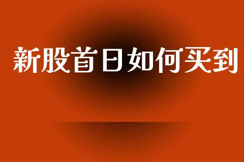新股首日如何买到_https://wap.sdyuehang.cn_美股行情_第1张