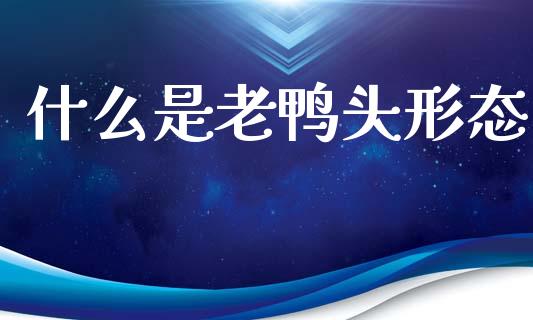 什么是老鸭头形态_https://wap.sdyuehang.cn_新股申购_第1张