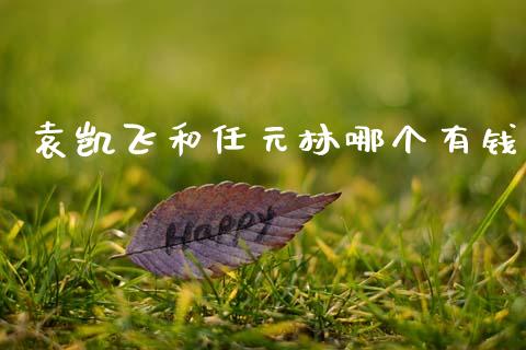 袁凯飞和任元林哪个有钱_https://wap.sdyuehang.cn_新股申购_第1张