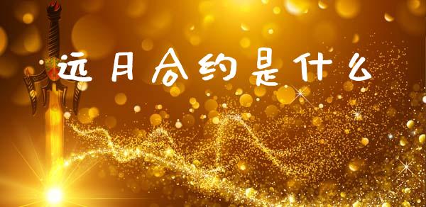 远月合约是什么_https://wap.sdyuehang.cn_美股行情_第1张