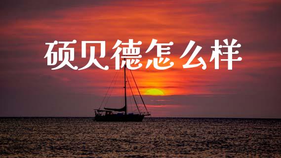 硕贝德怎么样_https://wap.sdyuehang.cn_债券资讯_第1张