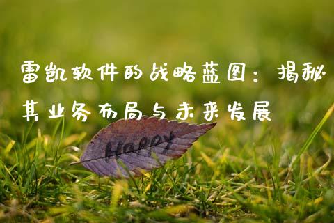 雷凯软件的战略蓝图：揭秘其业务布局与未来发展_https://wap.sdyuehang.cn_新股申购_第1张