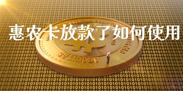 惠农卡放款了如何使用_https://wap.sdyuehang.cn_美股行情_第1张