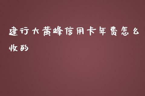 建行大黄蜂信用卡年费怎么收的_https://wap.sdyuehang.cn_债券资讯_第1张