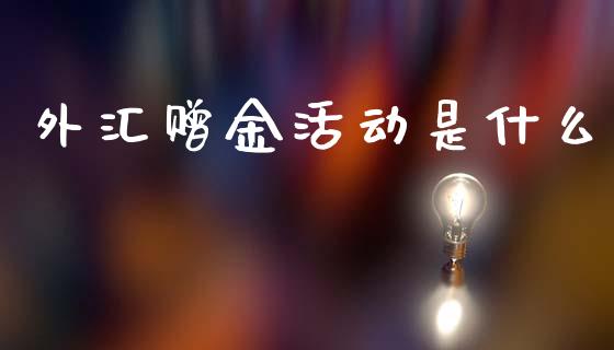 外汇赠金活动是什么_https://wap.sdyuehang.cn_债券资讯_第1张