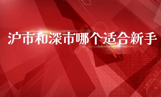 沪市和深市哪个适合新手_https://wap.sdyuehang.cn_债券资讯_第1张