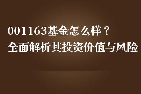 001163基金怎么样？全面解析其投资价值与风险_https://wap.sdyuehang.cn_产经新闻_第1张