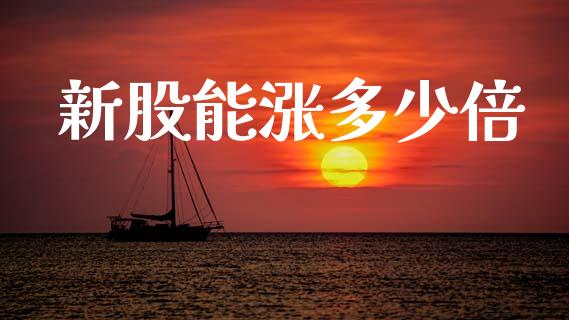 新股能涨多少倍_https://wap.sdyuehang.cn_债券资讯_第1张