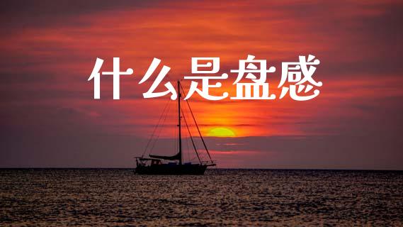 什么是盘感_https://wap.sdyuehang.cn_债券资讯_第1张