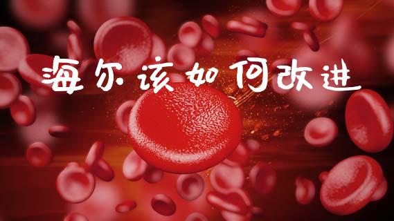 海尔该如何改进_https://wap.sdyuehang.cn_美股行情_第1张
