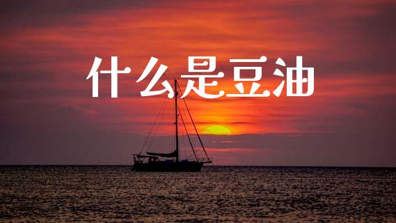 什么是豆油_https://wap.sdyuehang.cn_新股申购_第1张
