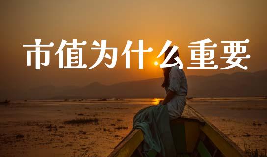 市值为什么重要_https://wap.sdyuehang.cn_产经新闻_第1张