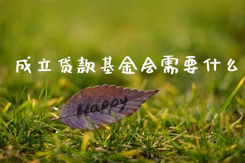 成立贷款基金会需要什么_https://wap.sdyuehang.cn_产经新闻_第1张