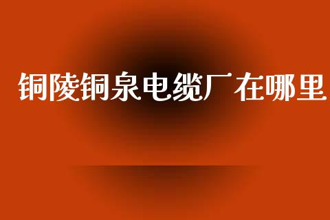 铜陵铜泉电缆厂在哪里_https://wap.sdyuehang.cn_产经新闻_第1张