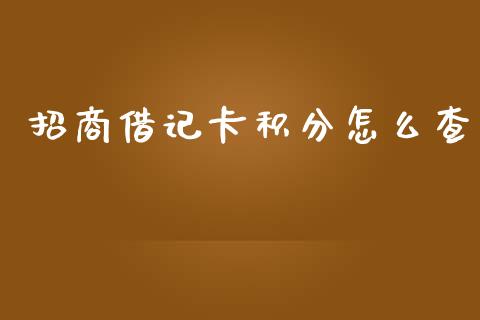 招商借记卡积分怎么查_https://wap.sdyuehang.cn_债券资讯_第1张