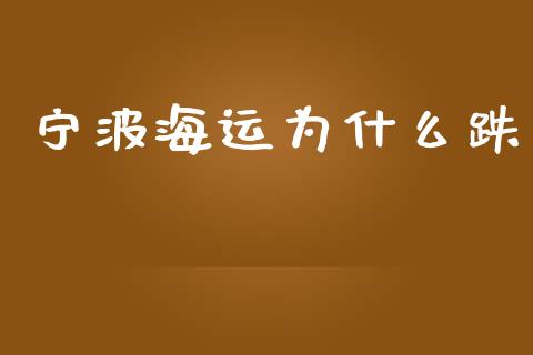 宁波海运为什么跌_https://wap.sdyuehang.cn_产经新闻_第1张
