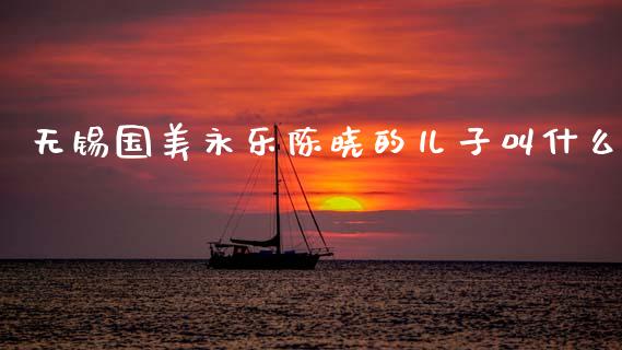 无锡国美永乐陈晓的儿子叫什么_https://wap.sdyuehang.cn_债券资讯_第1张