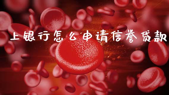 上银行怎么申请信誉贷款_https://wap.sdyuehang.cn_美股行情_第1张