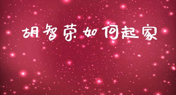 胡智荣如何起家_https://wap.sdyuehang.cn_债券资讯_第1张