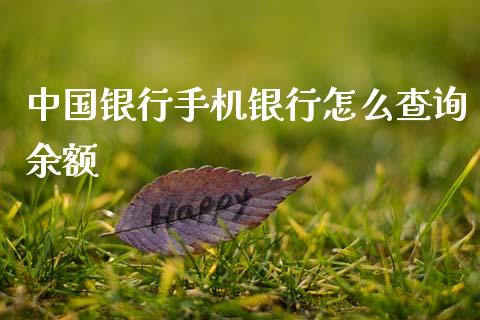 中国银行手机银行怎么查询余额_https://wap.sdyuehang.cn_美股行情_第1张