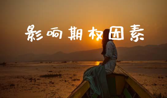 影响期权因素_https://wap.sdyuehang.cn_债券资讯_第1张