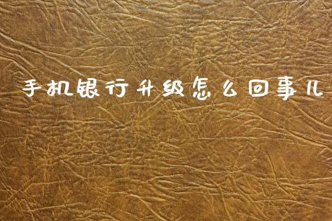 手机银行升级怎么回事儿_https://wap.sdyuehang.cn_新股申购_第1张