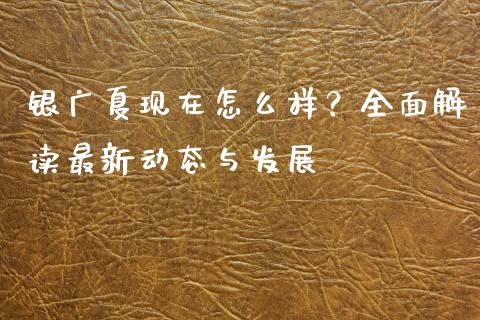银广夏现在怎么样？全面解读最新动态与发展_https://wap.sdyuehang.cn_产经新闻_第1张