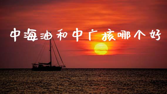 中海油和中广核哪个好_https://wap.sdyuehang.cn_产经新闻_第1张