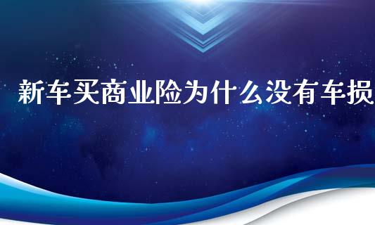 新车买商业险为什么没有车损_https://wap.sdyuehang.cn_新股申购_第1张