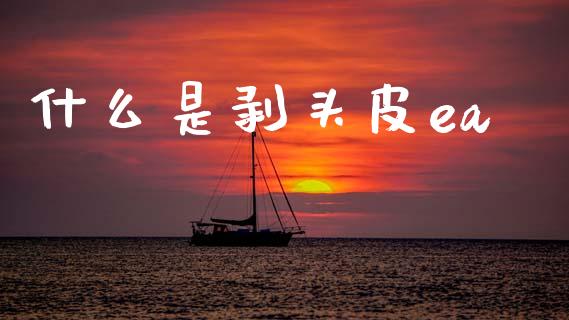 什么是剥头皮ea_https://wap.sdyuehang.cn_美股行情_第1张