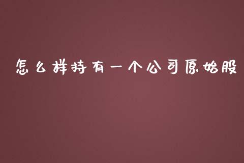 怎么样持有一个公司原始股_https://wap.sdyuehang.cn_美股行情_第1张