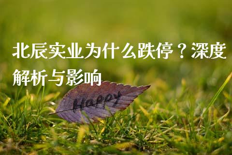 北辰实业为什么跌停？深度解析与影响_https://wap.sdyuehang.cn_美股行情_第1张