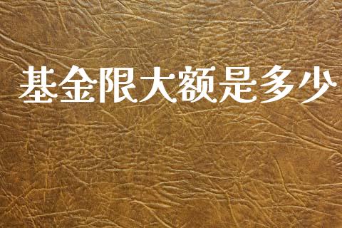 基金限大额是多少_https://wap.sdyuehang.cn_产经新闻_第1张